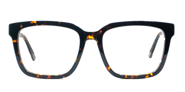 Lentes oftálmicos AXESS 5105DEMI 55 19 145 POM1
