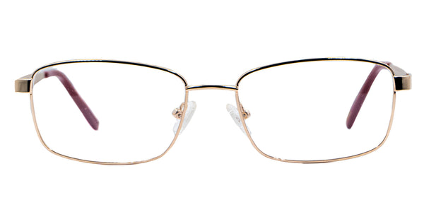 Lentes oftálmicos AXESS 6139 SH L GOLD 54 17 140 POM1