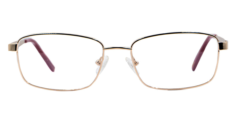 Lentes oftálmicos AXESS 6139 SH L GOLD 54 17 140 POM1