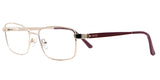Lentes oftálmicos AXESS 6139 SH L GOLD 54 17 140 POM1