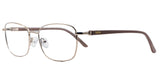 Lentes oftálmicos AXESS 6142 SH L GOLD 55 17 138 POM1