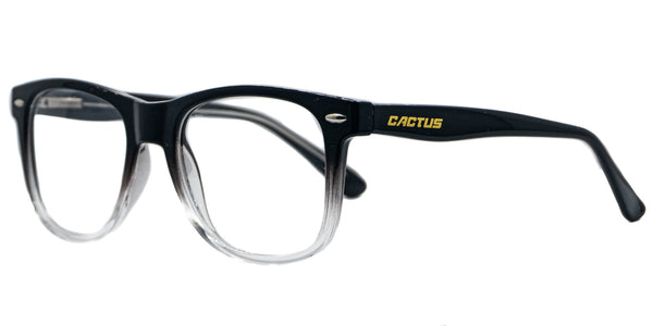 Lentes oftálmicos CACTUS P006 53 19 143 C3