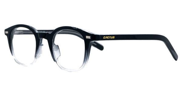 Lentes oftálmicos CACTUS P001 47 25 148 C3