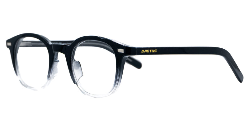 Lentes oftálmicos CACTUS P001 47 25 148 C3