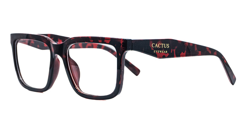 Lentes oftálmicos CACTUS TR105 54 18 140 C3