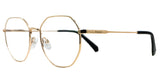 Lentes Oftalmicos POLAROID  PLD D555 RHL 145