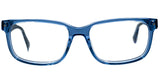 Lentes Oftalmicos POLAROID  PLD D335 PJP 145