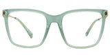 Lentes Oftalmicos POLAROID  PLD D528 1ED 140