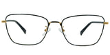 Lentes Oftalmicos POLAROID PLD D581 G RHL 145