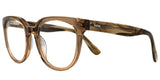 Lentes Oftalmicos AXESS CLIP 2731 BROWN 52 20 145 POM7