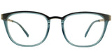 Lentes Oftalmicos ANIMA 4911 GREEN RICHNESS 52 19 140 POM1