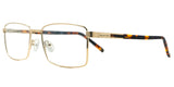 Lentes Oftalmicos AC AC 6856 GOLD 57 19 148