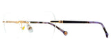 Lentes Oftalmicos CAROLINA HERRERAHER 0364 DDB 145